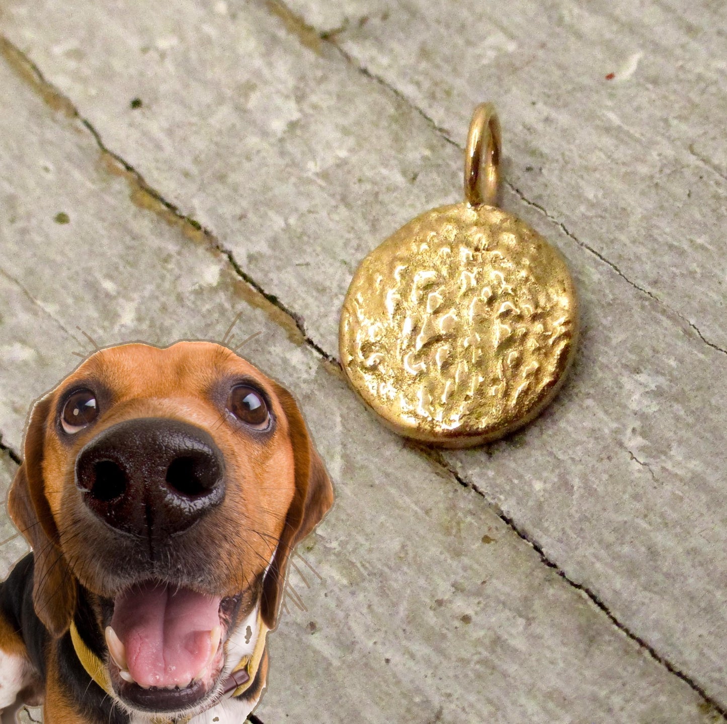 Your Dog's Nose Texture Impression Pendant in Solid Gold